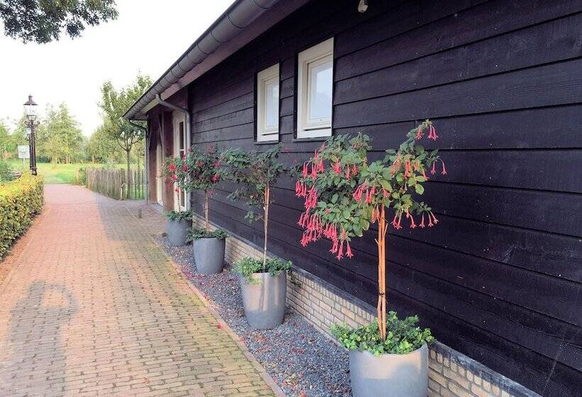 酒店 Hof Van  S Gravenmoer