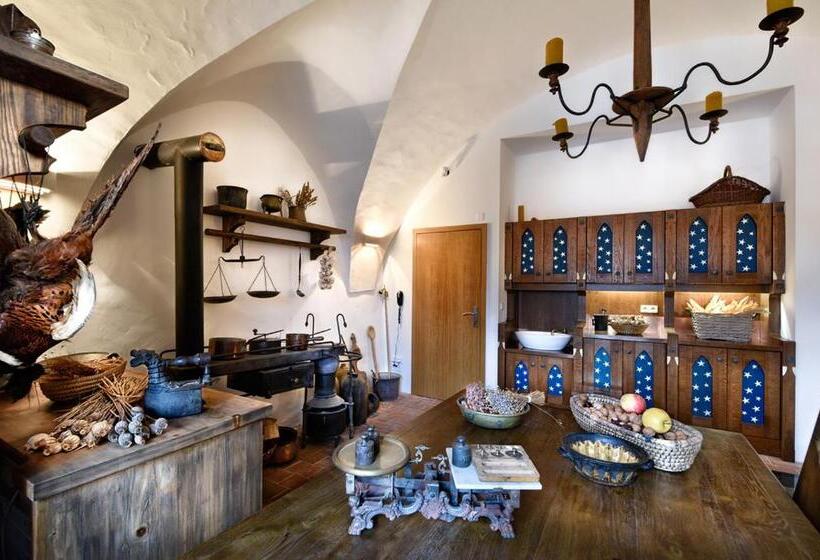 בית מלון כפרי Tvrz Orlice