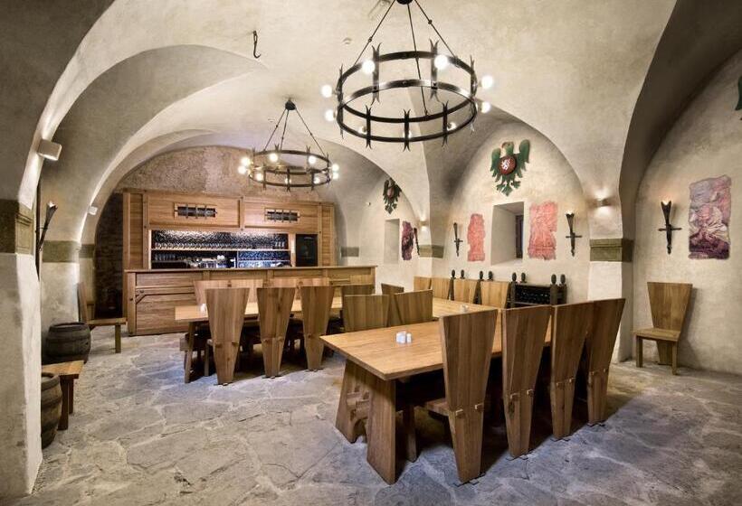 בית מלון כפרי Tvrz Orlice