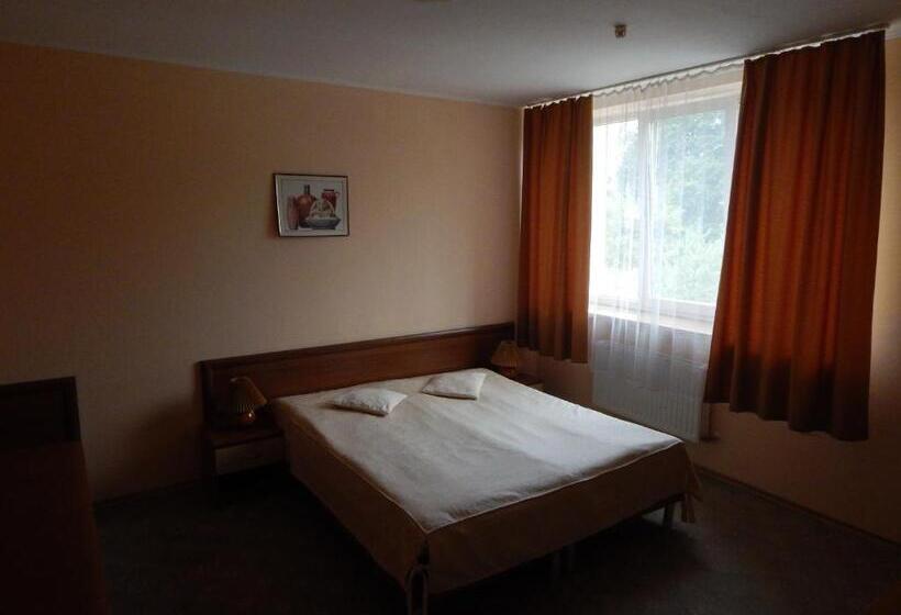 モーテル Karpaty Viking