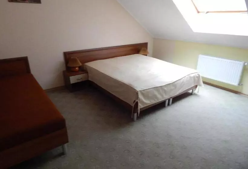 Motelli Karpaty Viking