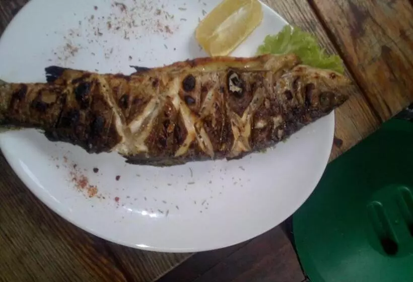 Motelli Karpaty Viking