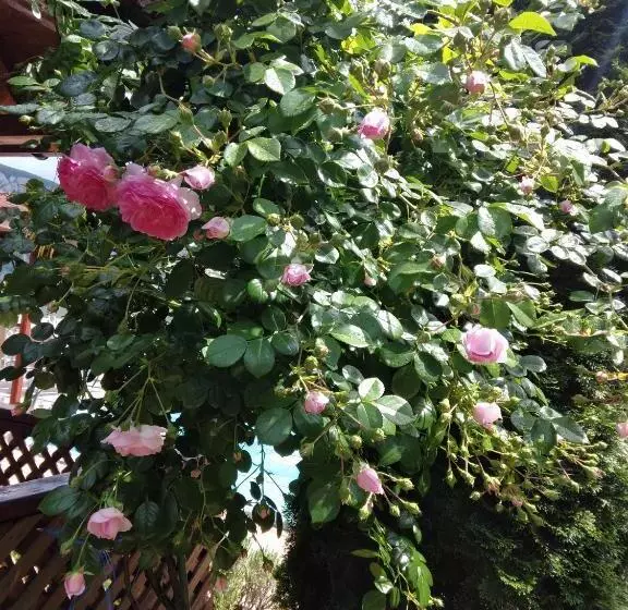 Majatalo Casa Lucian