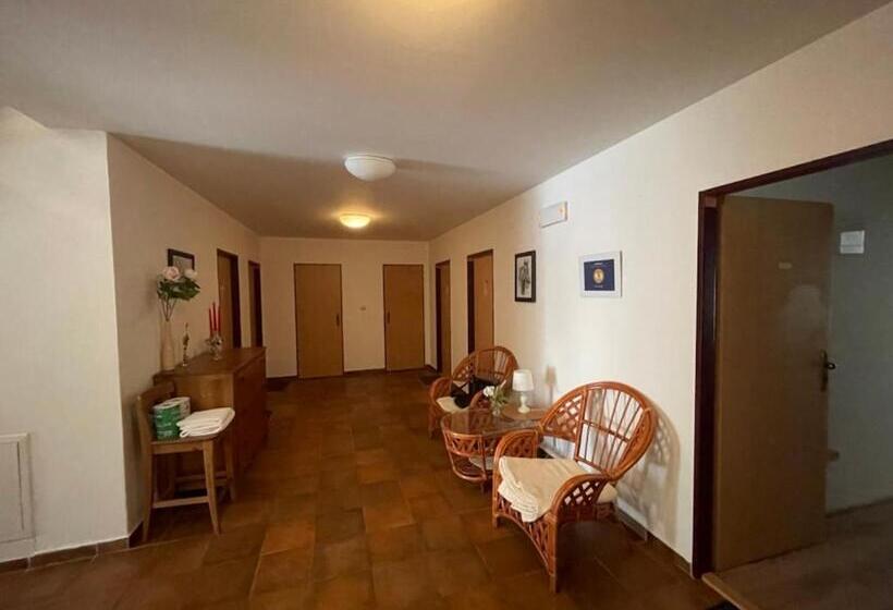 膳宿费 Penzion Adler