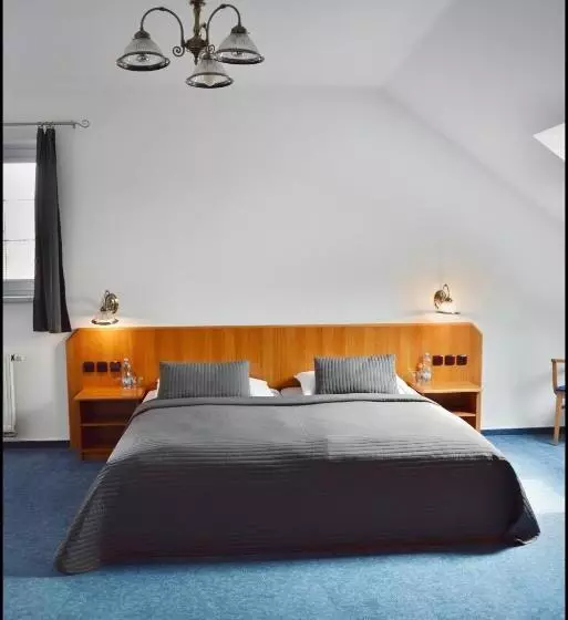 ペンション Penzion Starý Dvůr