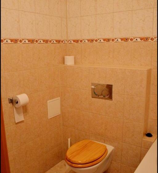 Panzió Penzion Starý Dvůr