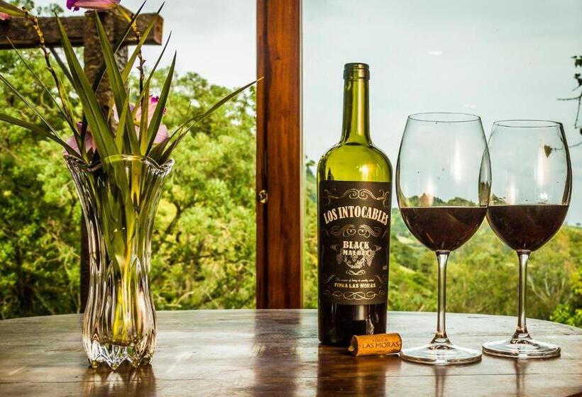 פנסיון Pousada Serra Do Luar