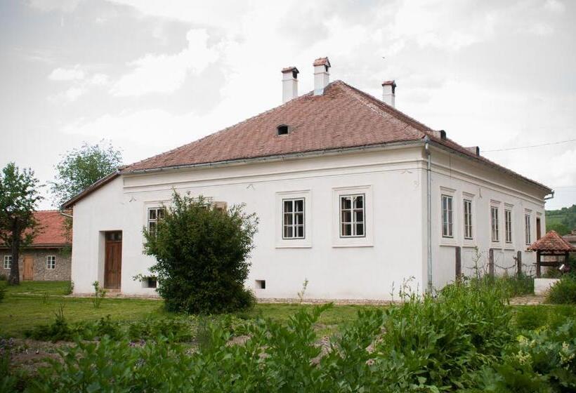 펜션 Transylvania Guesthouses