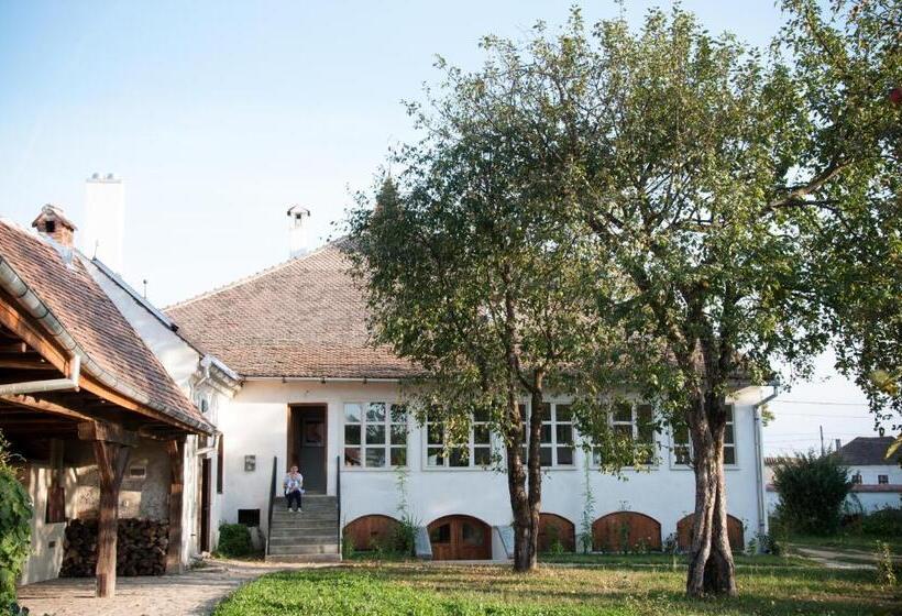 펜션 Transylvania Guesthouses