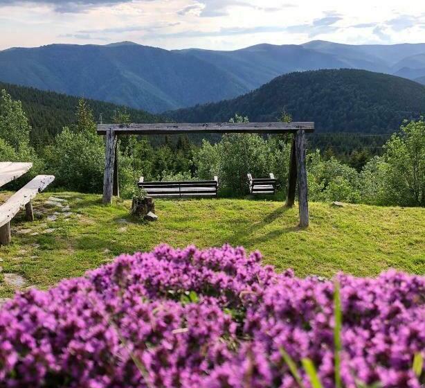 Pensiunea Casa Ancutei