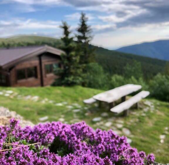 Pensiunea Casa Ancutei