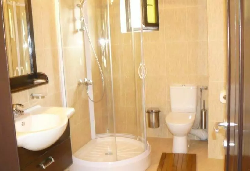 Pensiunea Casa Ancutei