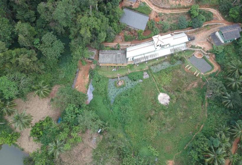 호텔 Explore Sinharaja Rain Forest Tour Camp