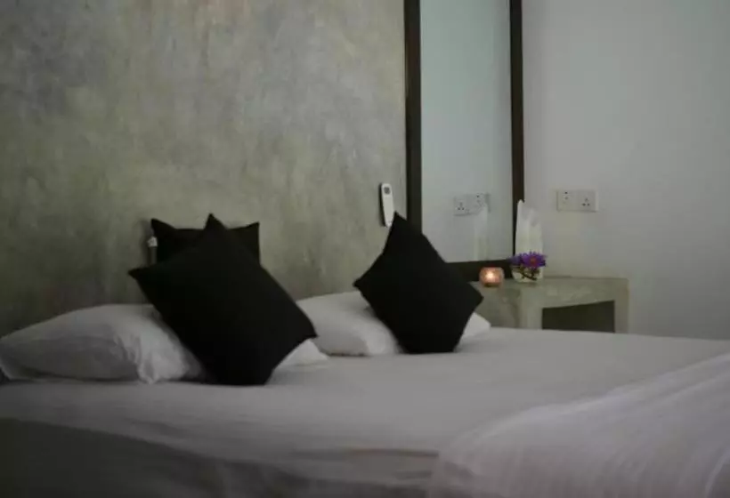 Hotelli Explore Sinharaja Rain Forest Tour Camp