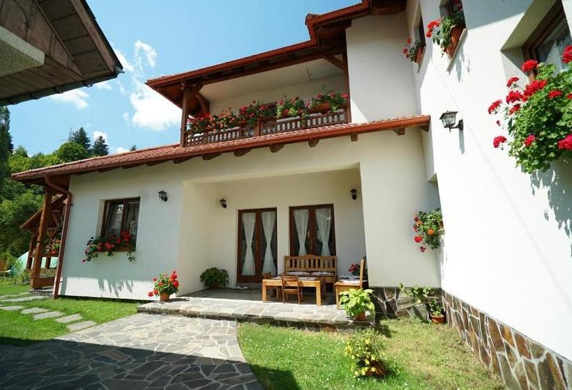 پانسیون Casa Bunicii