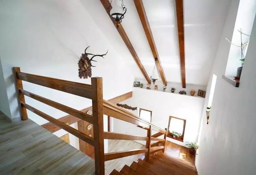 ペンション Casa Bunicii