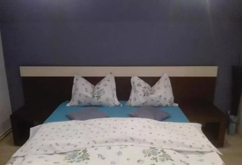 پانسیون Casa De Vacanta Silvia Varmaga