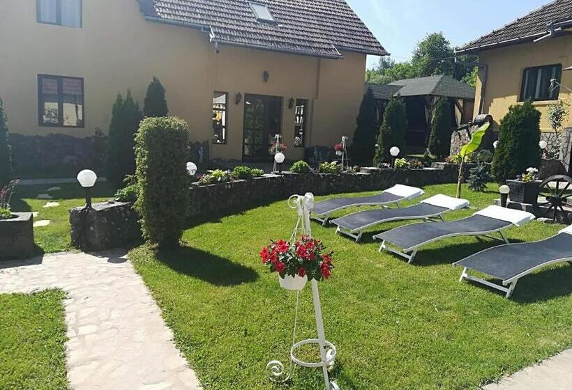 Пансион Casa De Vacanta Silvia Varmaga