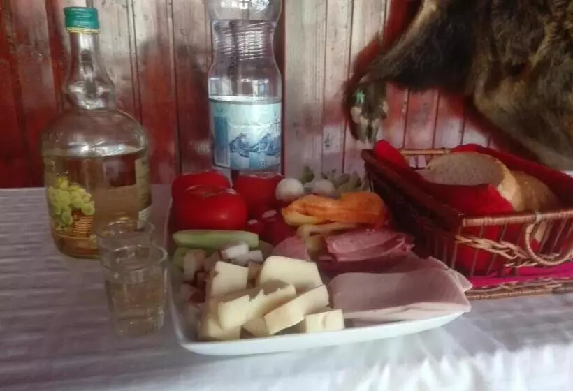 پانسیون Casa De Vacanta Silvia Varmaga
