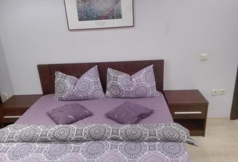 Пансион Casa De Vacanta Silvia Varmaga