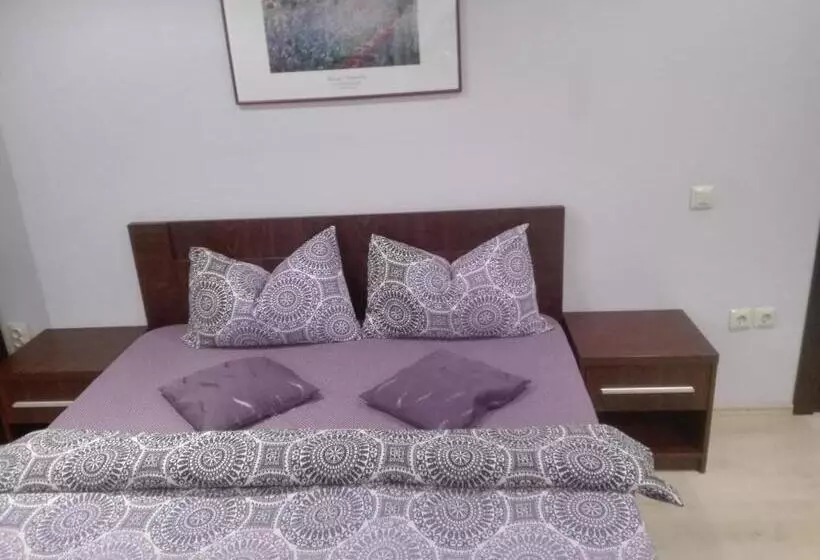 پانسیون Casa De Vacanta Silvia Varmaga