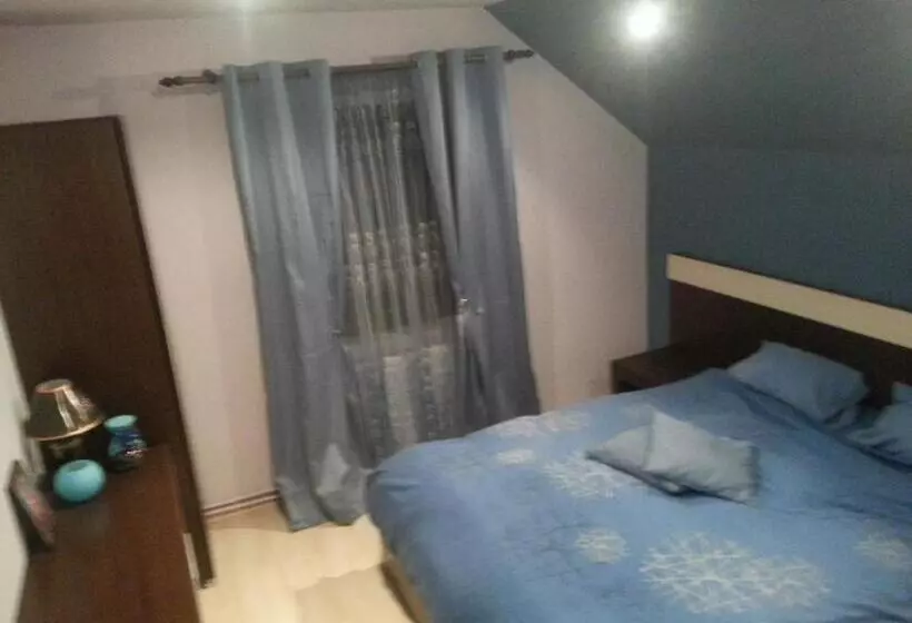 پانسیون Casa De Vacanta Silvia Varmaga