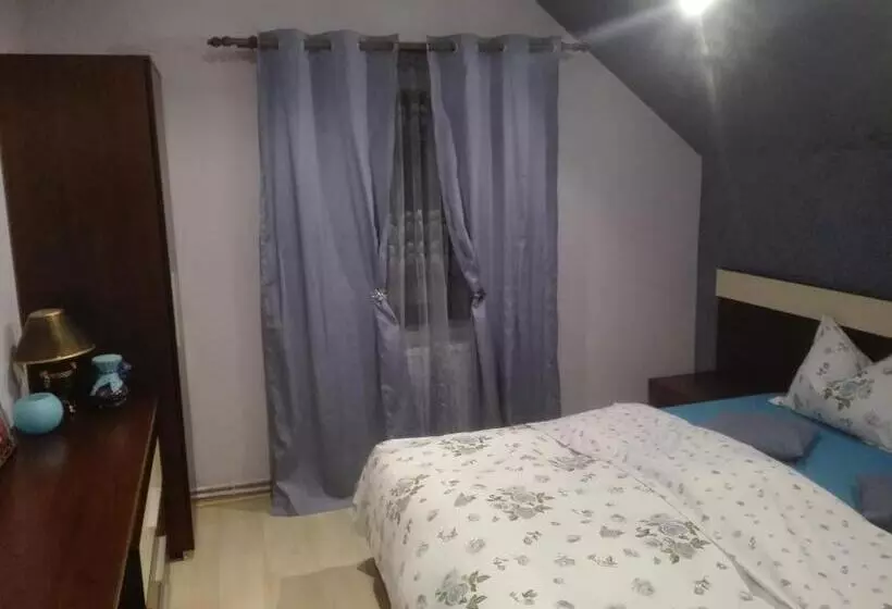 پانسیون Casa De Vacanta Silvia Varmaga