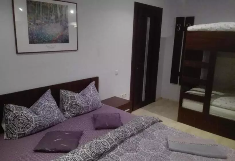پانسیون Casa De Vacanta Silvia Varmaga