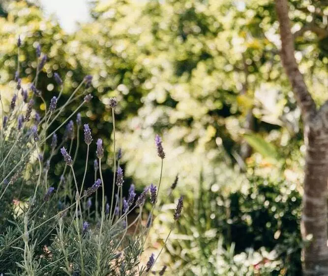 Majatalo Hilltop Boutique