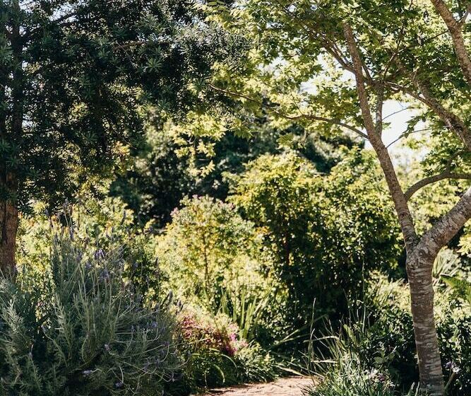 بنسيون Hilltop Boutique