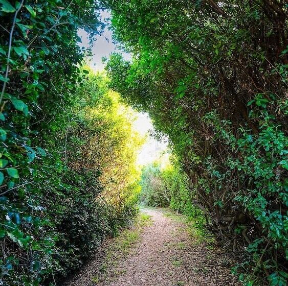 بنسيون Hilltop Boutique