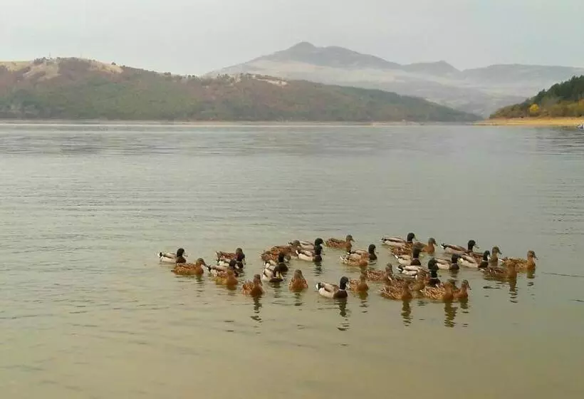 Majatalo Mihaela Lake Retreat