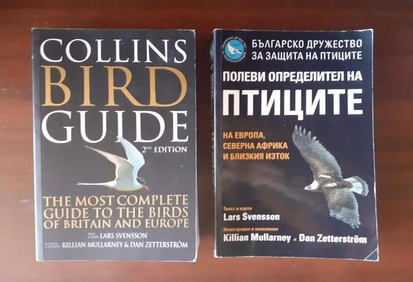 Majatalo Mihaela Lake Retreat