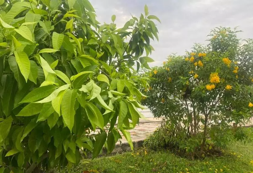 Majatalo Romyen House