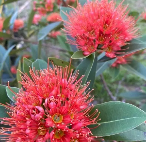 Majatalo Romyen House