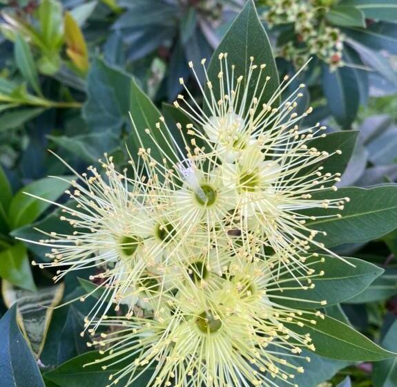 ペンション Romyen House