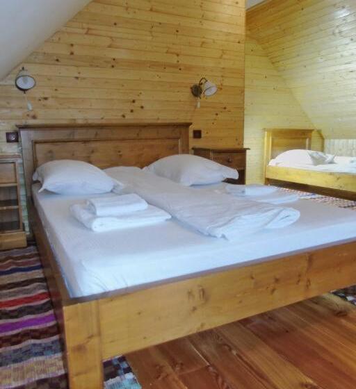 Pensiunea Rustic Ghetar