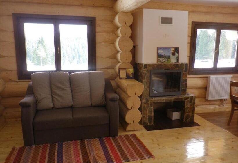 Pensiunea Rustic Ghetar