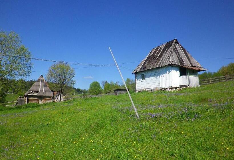 Pensiunea Rustic Ghetar