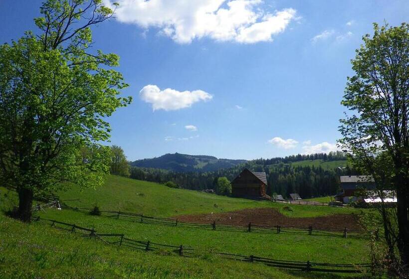 Pensiunea Rustic Ghetar