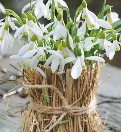 ペンション Sadyba Domashniy Zatyshok