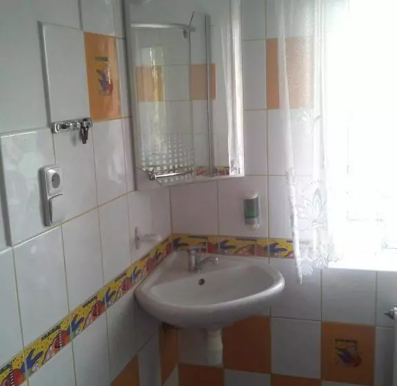 ペンション Ubytování Velký Týnec 376