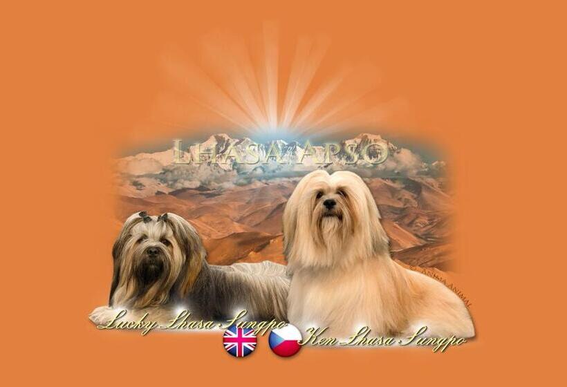 Pension Sunset Mezirolí