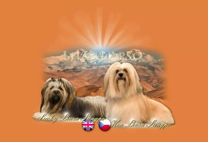 Pension Sunset Mezirolí