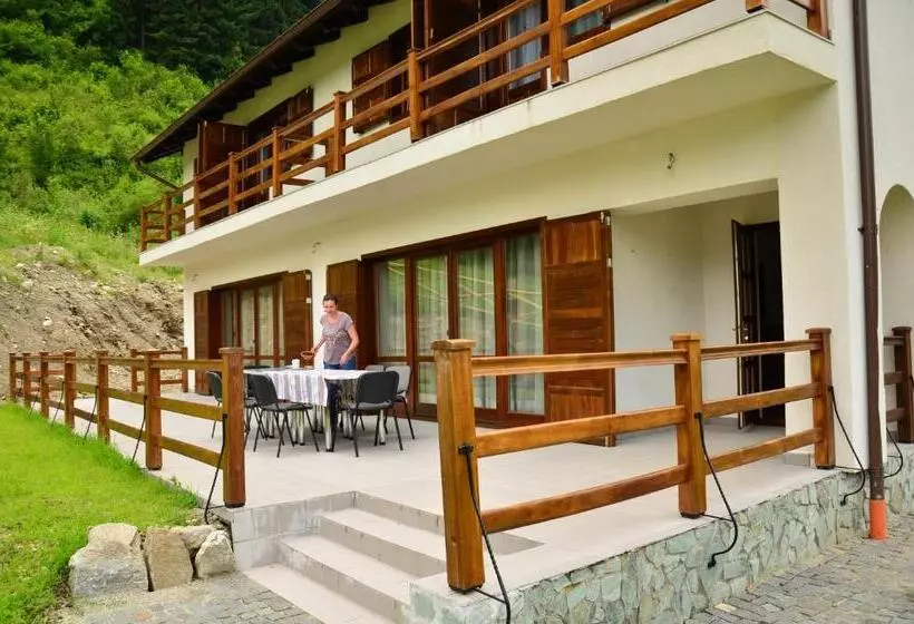 Pensiunea Valea Pinului