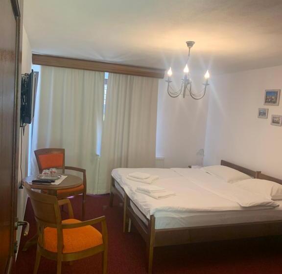 Pensiunea Valea Pinului