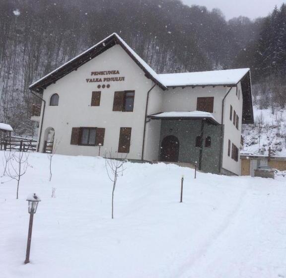 Pensiunea Valea Pinului