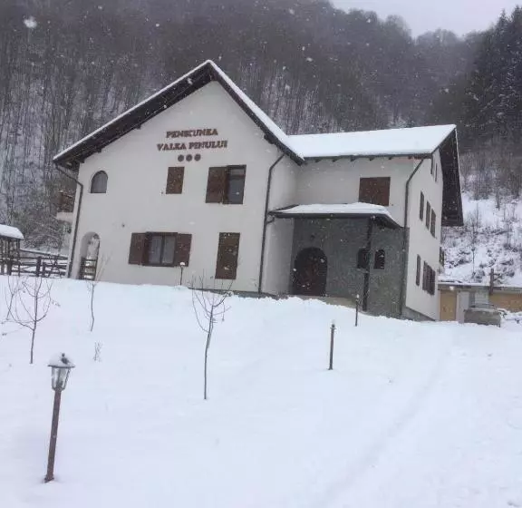Pensiunea Valea Pinului