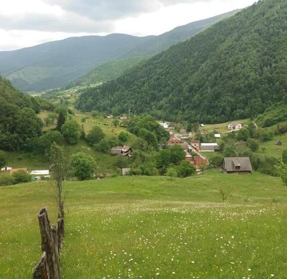 Pensiunea Valea Pinului
