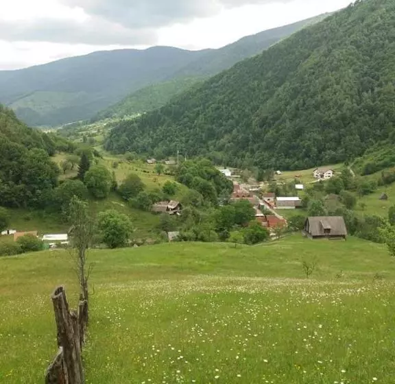 Pensiunea Valea Pinului